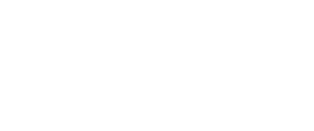 Slanted Door Logo